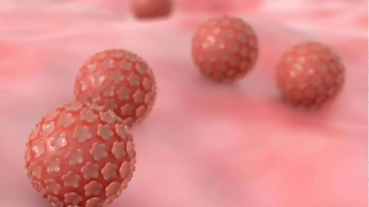 فيروس الورم الحليمي البشري (HPV) لدى الرجل و المرأة