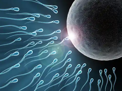 أسباب العقم عند الرجال بعد الإنجاب